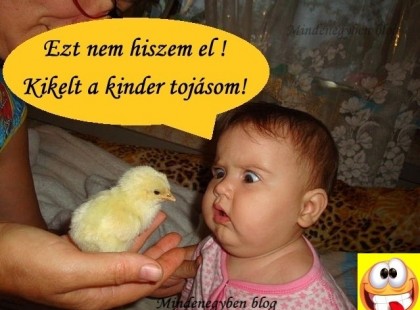 Ezt nem hiszem el ! Kikelt a kinder tojásom!