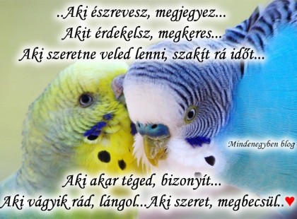 ..Aki észrevesz, megjegyez... Akit érdekelsz, megkeres..