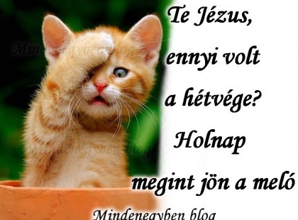 Te, Jézus ennyi volt a hétvége? Holnap megint jön a meló