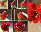 Egy kis meglepetés rózsa eperből? Ami nemcsak gyönyörű, de meg is lehet enni? Kettő az egyben... A legjobb párosítás, amivel könnyekig meghathatod kedvesedet... Nem kell alkalom...A csak úgy alkalom pont a legjobb lehet!