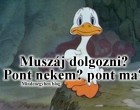 Muszáj dolgozni? Pont nekem? pont ma?