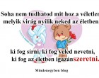 soha nem tudhatod mit hoz a véletlen, melyik virág nyílik neked az életben, ki fog sírni, ki fog veled nevetni, ki fog az életben igazán szeretni. :)♥.