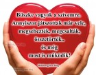 Büszke vagyok a szívemre. Annyiszor játszottak már vele, megsebezték, megcsalták, összetörték.. és még most is működik