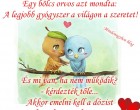 Egy bölcs orvos azt mondta: A legjobb gyógyszer a világon a szeretet! És mi van, ha nem működik? - kérdezték tőle...