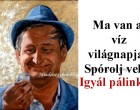Ma van a víz világnapja!Spórolj vele!Igyál pálinkát