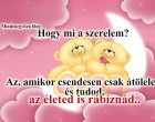 Hogy mi a szerelem? Az, amikor csendesen csak átöleled és tudod, az életed is rábíznád..