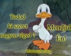Tudod ki szeret nagyon téged ? Mondjuk Én!