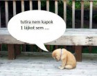 De, tőlem igen :)