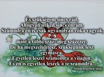 A Kis hercegből az egyik legszebb idézet