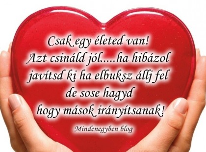 Csak egy életed van!Azt csináld jól.ha hibázol javítsd ki ha elbuksz állj fel de sose hagyd hogy mások irányítsanak!