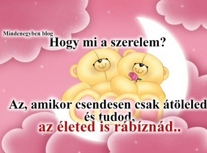 Hogy mi a szerelem? Az, amikor csendesen csak átöleled és tudod, az életed is rábíznád..