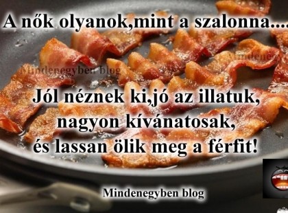 A nők olyanok,mint a szalonna.... Jól néznek ki,jó az illatuk, nagyon kívánatosak, és lassan ölik meg a férfit!