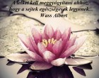 A lelket kell meggyógyítani ahhoz, hogy a sejtek egészségesek legyenek... Wass Albert