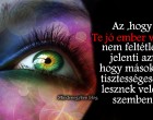 Az ,hogy Te jó ember vagy ,nem feltétlen jelenti azt,hogy mások is tisztességesek lesznek veled szemben.