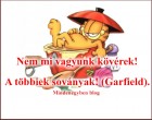 Nem mi vagyunk kövérek! A többiek soványak! (Garfield).