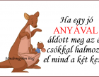 Ha egy jó anyával áldott meg az ég, csókkal halmozd el mind a két kezét.