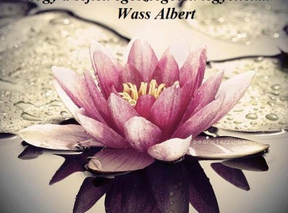 A lelket kell meggyógyítani ahhoz, hogy a sejtek egészségesek legyenek... Wass Albert