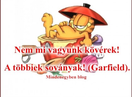 Nem mi vagyunk kövérek! A többiek soványak! (Garfield).