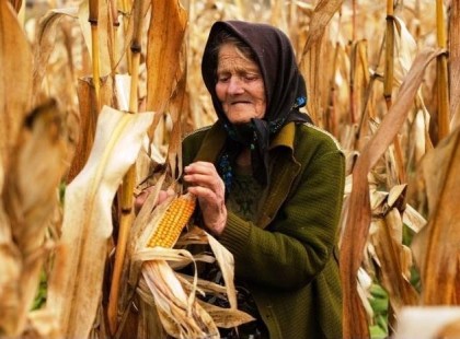 Meghaltam volna, ha nincs 9 diófám...