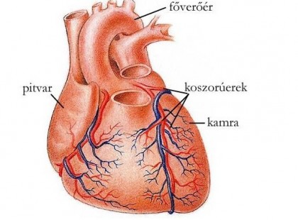 SZÍVROHAM ESETÉN LE NE FEKÜDJ!