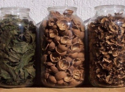 A DIÓFA AZ EMBER LEGNAGYOBB BARÁTJA!