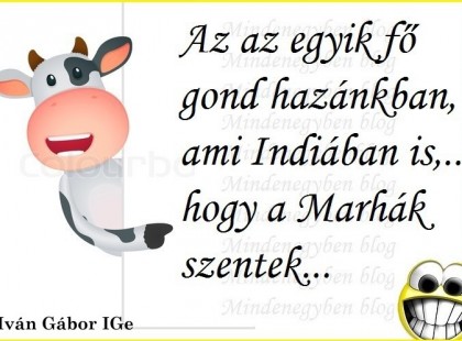 Az az egyik fő gond hazánkban, ami Indiában is,... hogy a Marhák szentek