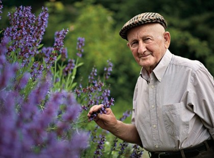 Gyuri bácsi, a bükki füvesember tanácsai