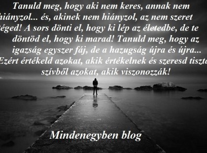 Tanuld meg, hogy aki nem keres, annak nem hiányzol... és, akinek nem hiányzol, az nem szeret téged! A sors dönti el, hogy ki lép az életedbe, de te döntöd el, hogy ki marad! Tanuld meg, hogy az igazság egyszer fáj, de a hazugság újra és újra... Ezért értékeld azokat, akik értékelnek és szeresd tiszta szívből azokat, akik viszonozzák!