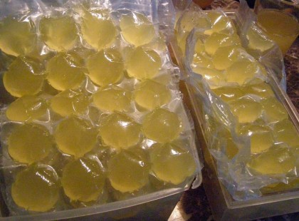 Életem legjobban sikerült bodzaszörpje, cukor és tartósítószer, citromsav nélkül, a legkevesebb költséggel és a leggyorsabban!