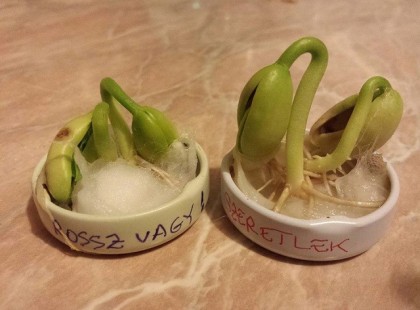 ÍGY BIZONYÍTHATÓ, HOGY A GYŰLÖLET MEGBETEGÍT!