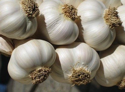A FOKHAGYMA JÓ HÁTFÁJÁSRA, RÁNCTALANÍTÁSRA ÉS MÉG SOK MÁSRA…A fokhagyma egészségügyi előnyei: