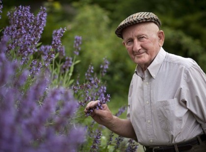 ABC SORRENDBE SZEDVE AZ ÉRTÉKES INFORMÁCIÓK GYURI BÁCSITÓL, A BÜKKI FÜVESEMBERTŐL.ÉRDEMES TANULMÁNYOZNI !