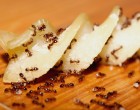 Hangyák ellen házi tippek