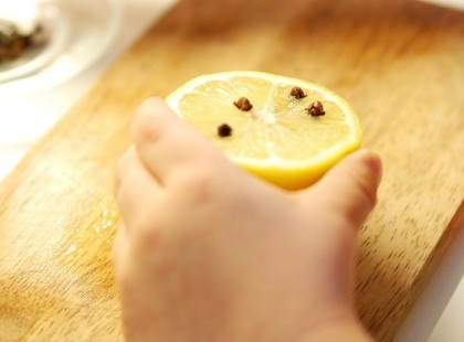 Praktikus illatosító: elűzi a legyeket és a szúnyogokat