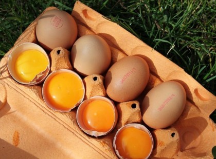 Hogyan áll(t) el a tojás hűtő nélkül? - Nagyi elmondja…