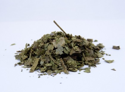 Csodákra képes a diófa levele!