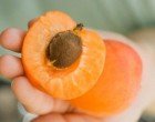 Rák nem más, mint egy anyagcserezavar, ami a nem megfelelő táplálkozás következménye. Gyógymódja lehet a sárgabarackmag, B17 vitamin.