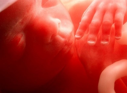 KÉT MAGZAT BESZÉLGET