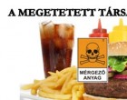 A MEGETETETT TÁRSADALOM