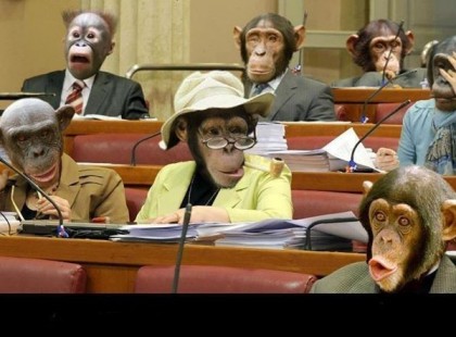 Élő közvetítés a parlamentből :D