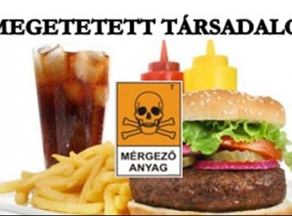 A MEGETETETT TÁRSADALOM