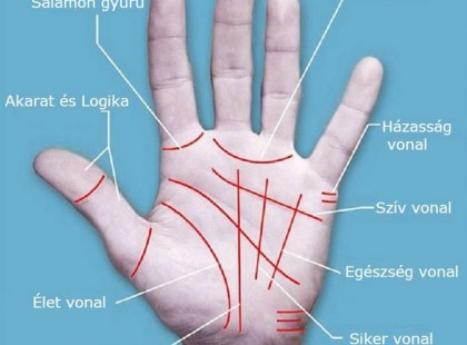 Tenyerünk az egészségünk tükre is lehet, egészségvonalunk megmutatja