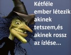 Kétféle ember létezik: akinek tetszem és akinek rossz az ízlése...