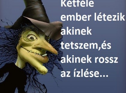 Kétféle ember létezik: akinek tetszem és akinek rossz az ízlése...