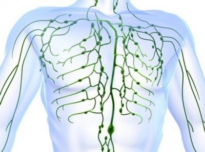 Így kell megtisztítani a nyirokrendszert