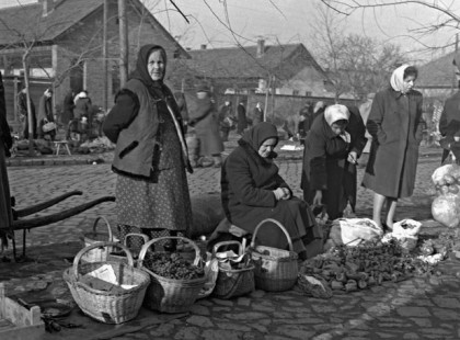 Miért nem voltak ételallergiásak nagyszüleink?Érdemes elolvasni!