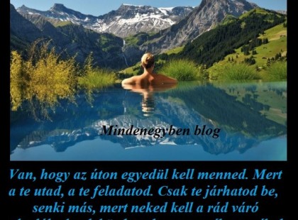 Van, hogy az úton egyedül kell menned. Mert a te utad, a te feladatod. Csak te járhatod be, senki más, mert neked kell a rád váró akadályokat leküzdened, mert a cél a te célod... Csitáry-Hock Tamás