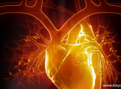 A SZÍV A LEGINTELLIGENSEBB SZERV!Sokáig azt hittük, hogy a gondolkodás központja az agy. Kísérletek igazolták, hogy ez nem így van.