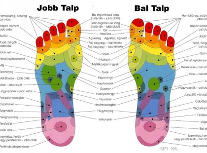 Mutasd a talpad, megmondom, mi bajod! Így kezdj hozzá,itt az útmutató!