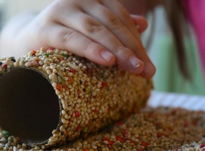 Etessük a madarakat! Így készíts papírgurigából madáretetőt!